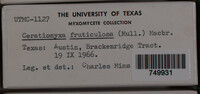 Image Associated With the Occurence